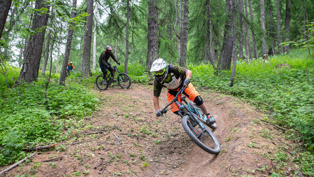 Bike Park de Puy Saint Vincent