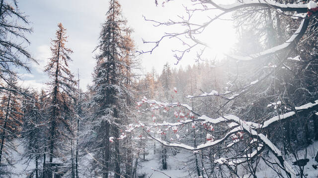 Ouverture des stations de ski