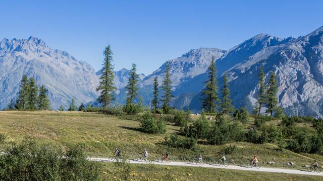 VTT alpes du sud 