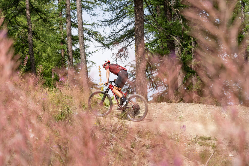 Bike Park de Puy Saint Vincent