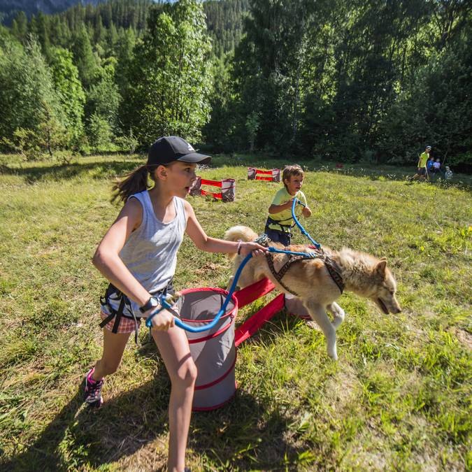 Mushing Addict Chiens Enfants