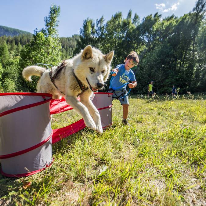 Mushing Addict Chiens Enfants