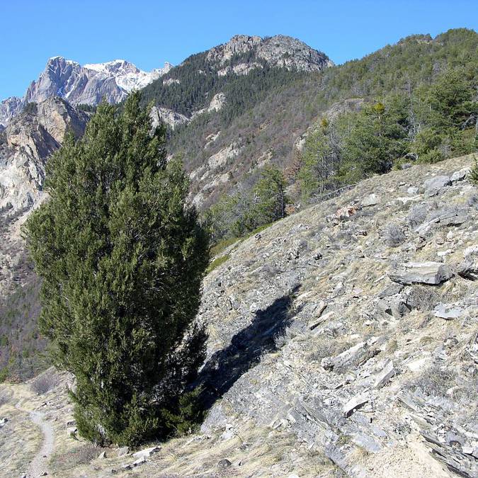 Tourisme scientifique dans les écrins