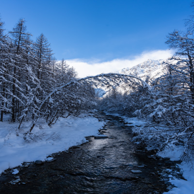 alpes du sud