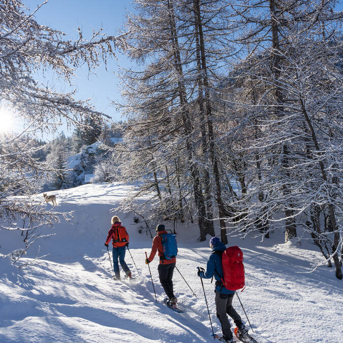 hautes alpes