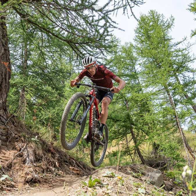 Sarrou trail, bike park de Puy Saint Vincent