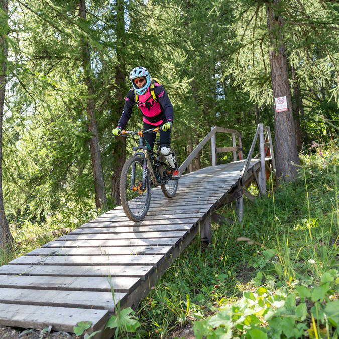 Bike park de Puy Saint Vincent